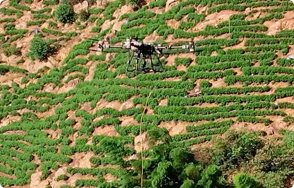 Imagem Drone