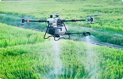 Imagem Drone