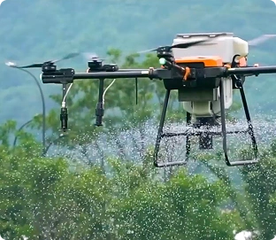 Imagem Drone