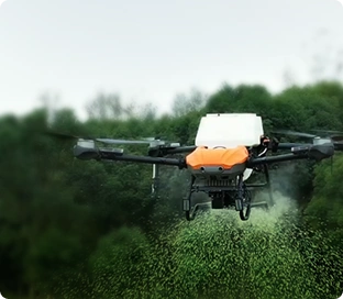 Imagem Drone
