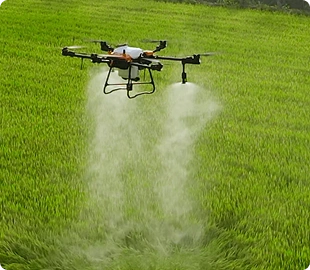 Imagem Drone