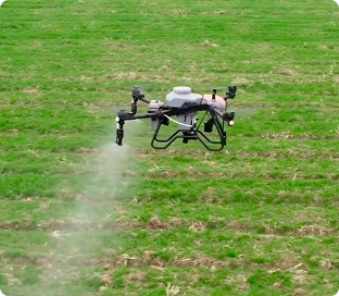Imagem Drone